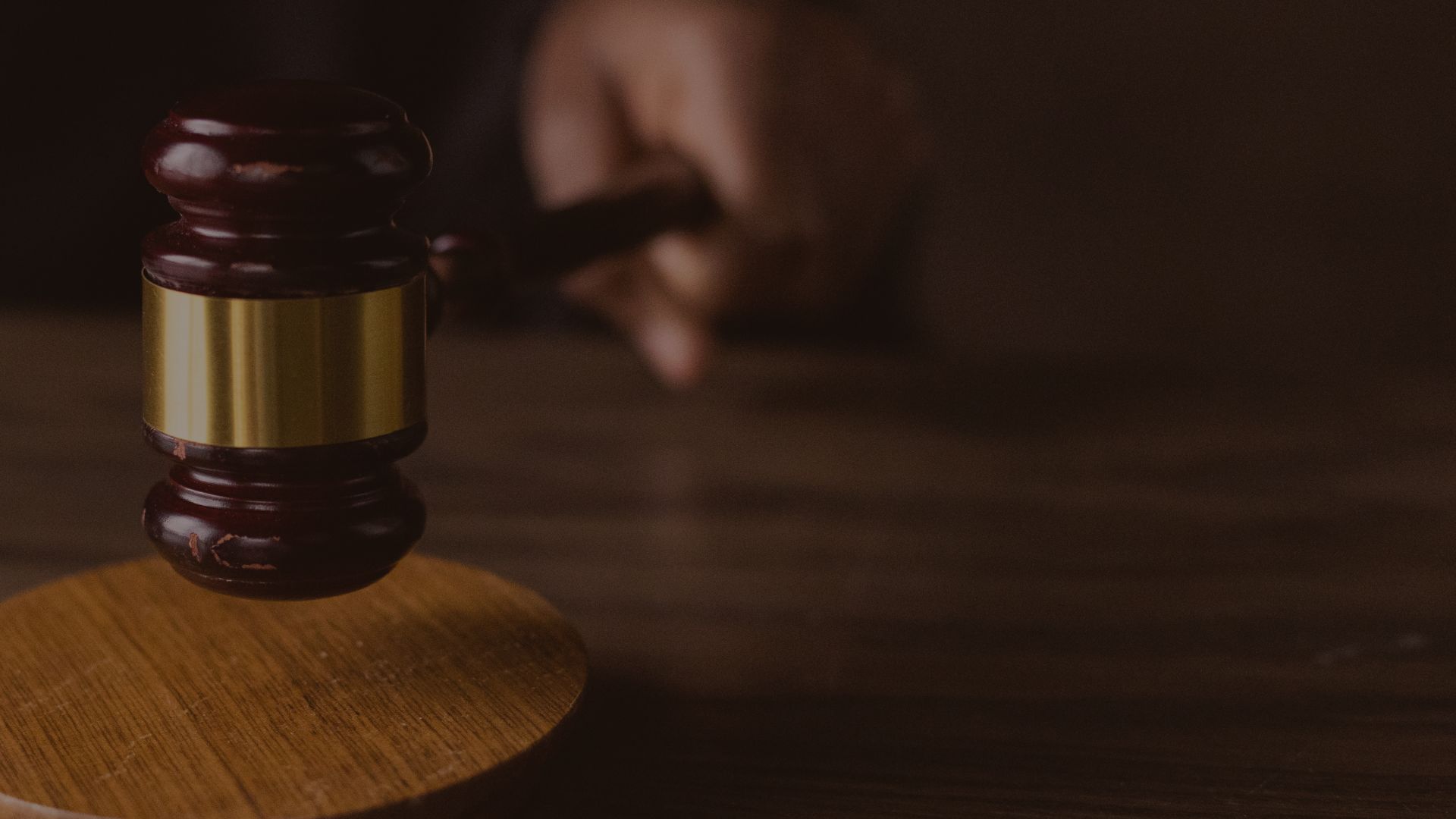 About the Foundation